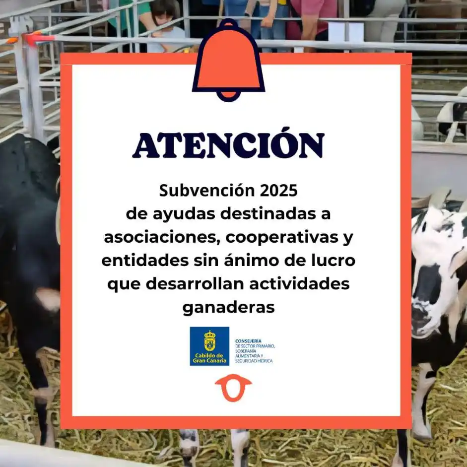 Image from OIAC Información: 👉 Abierta la convocatoria de subvenciones para el fomento de activida...