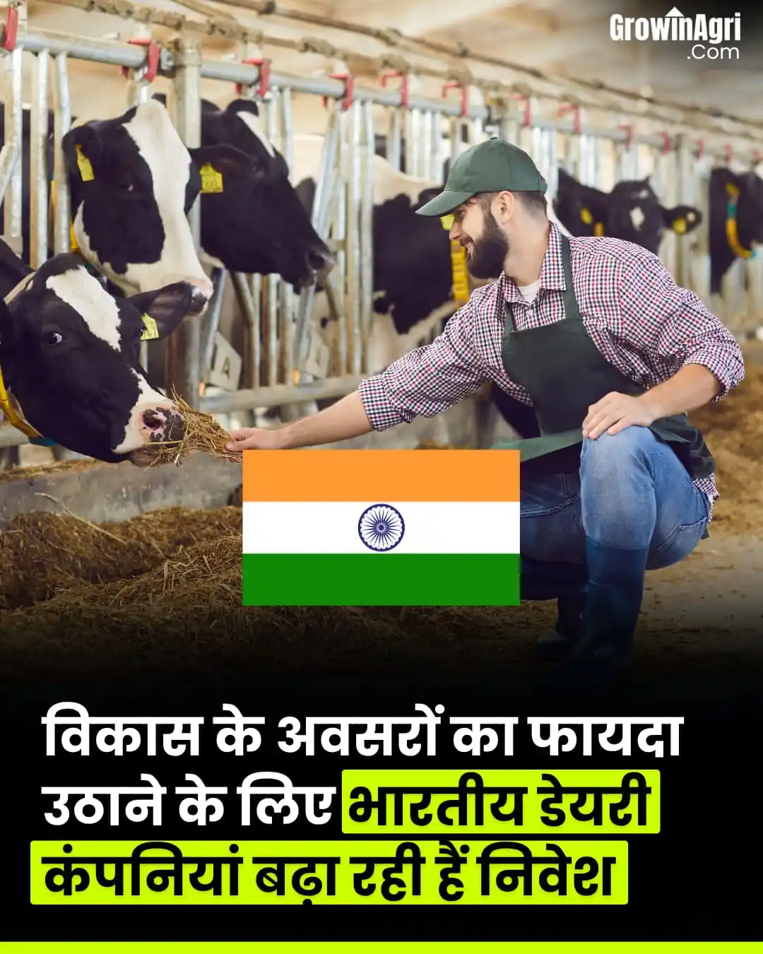 Image from GrowinAgri Hindi: भारतीय डेयरी क्षेत्र में FY25 में मजबूत विकास का अनुमान क्रिसिल रेटिं...
