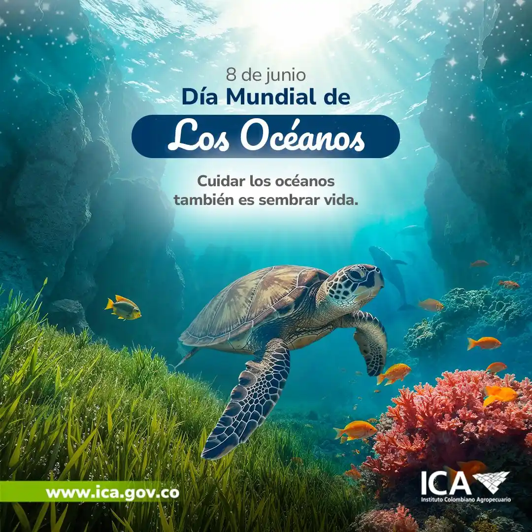 Image from ICA Noticias: 🐟🌊 Desde el ICA promovemos la sanidad acuícola como parte del equili...