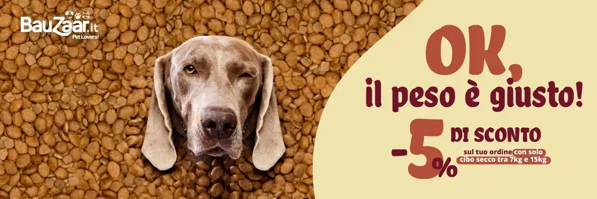 Bauzaar.it per veri PetLovers post