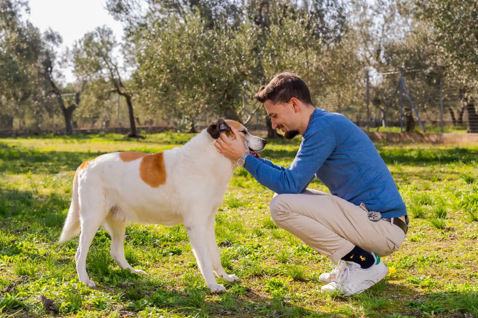 Bauzaar.it per veri PetLovers post