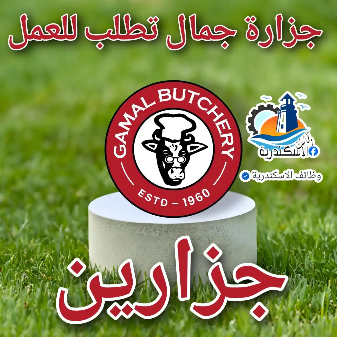 Image from وظائف الاسكندرية: جزارة جمال تطلب للعمل بفروعها بالاسكندرية الوظائف التالية 1 - عمال (ب...
