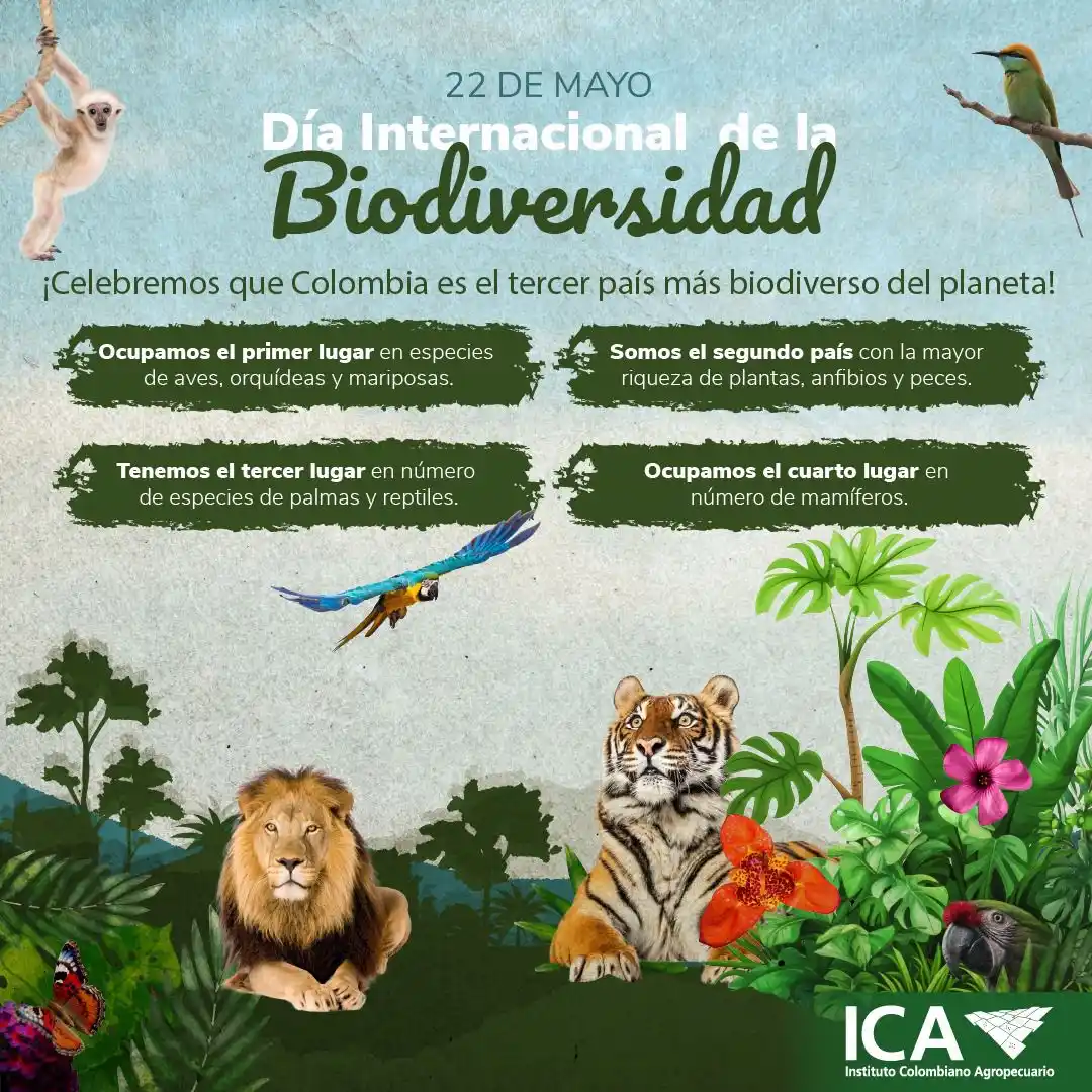 Image from ICA Noticias: Hablar de biodiversidad es hablar de Colombia, de la interconexión de ...