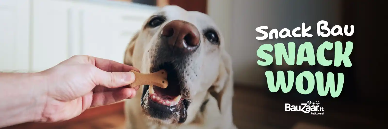 Bauzaar.it per veri PetLovers post