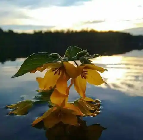 روانشناسی 𝑷𝒔𝒚𝒄𝒉𝒐𝒍𝒐𝒈𝒚🦋 post