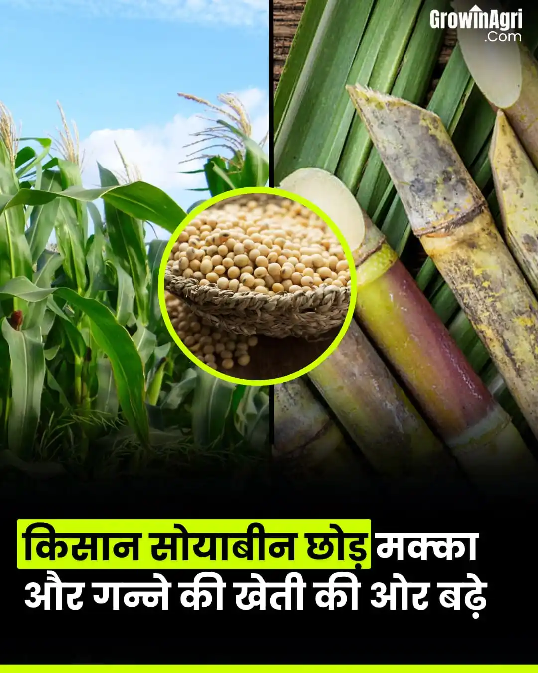 GrowinAgri Hindi post