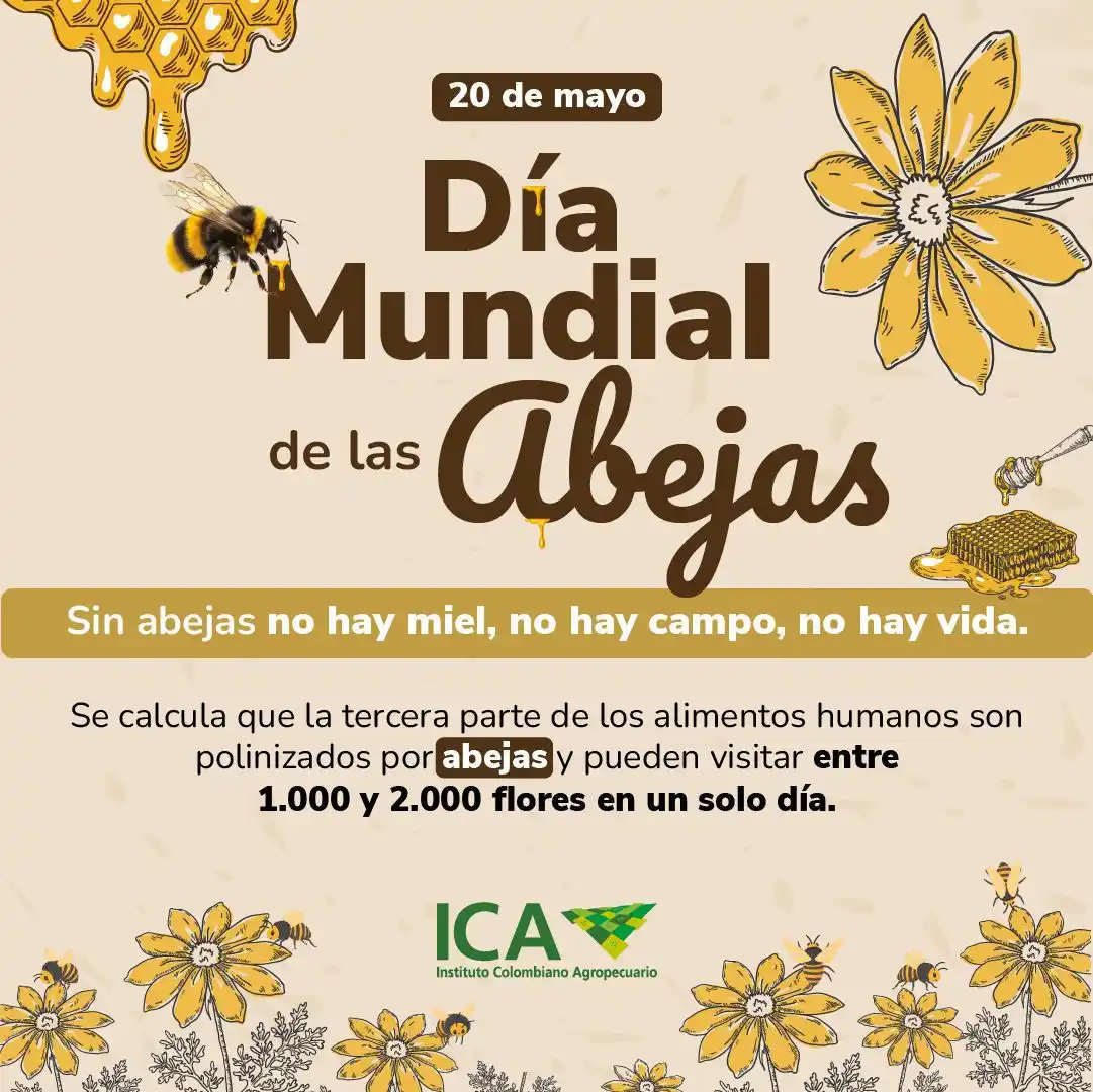 Image from ICA Noticias: 🐝 Las abejas no solo polinizan flores, también siembran vida en cada ...