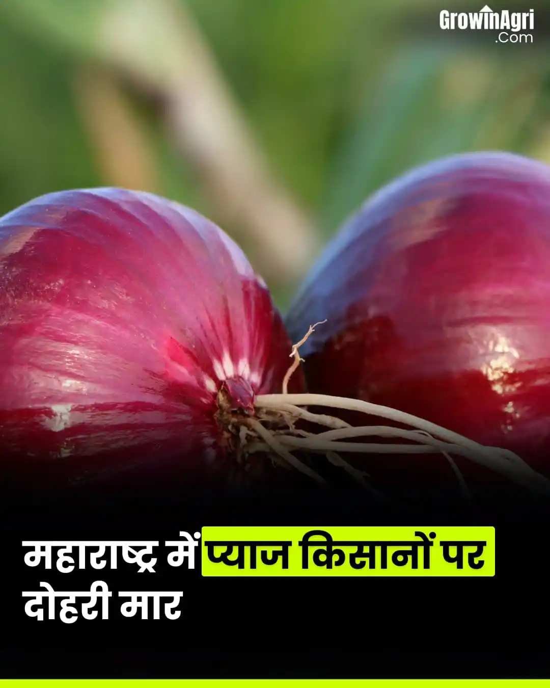 GrowinAgri Hindi post