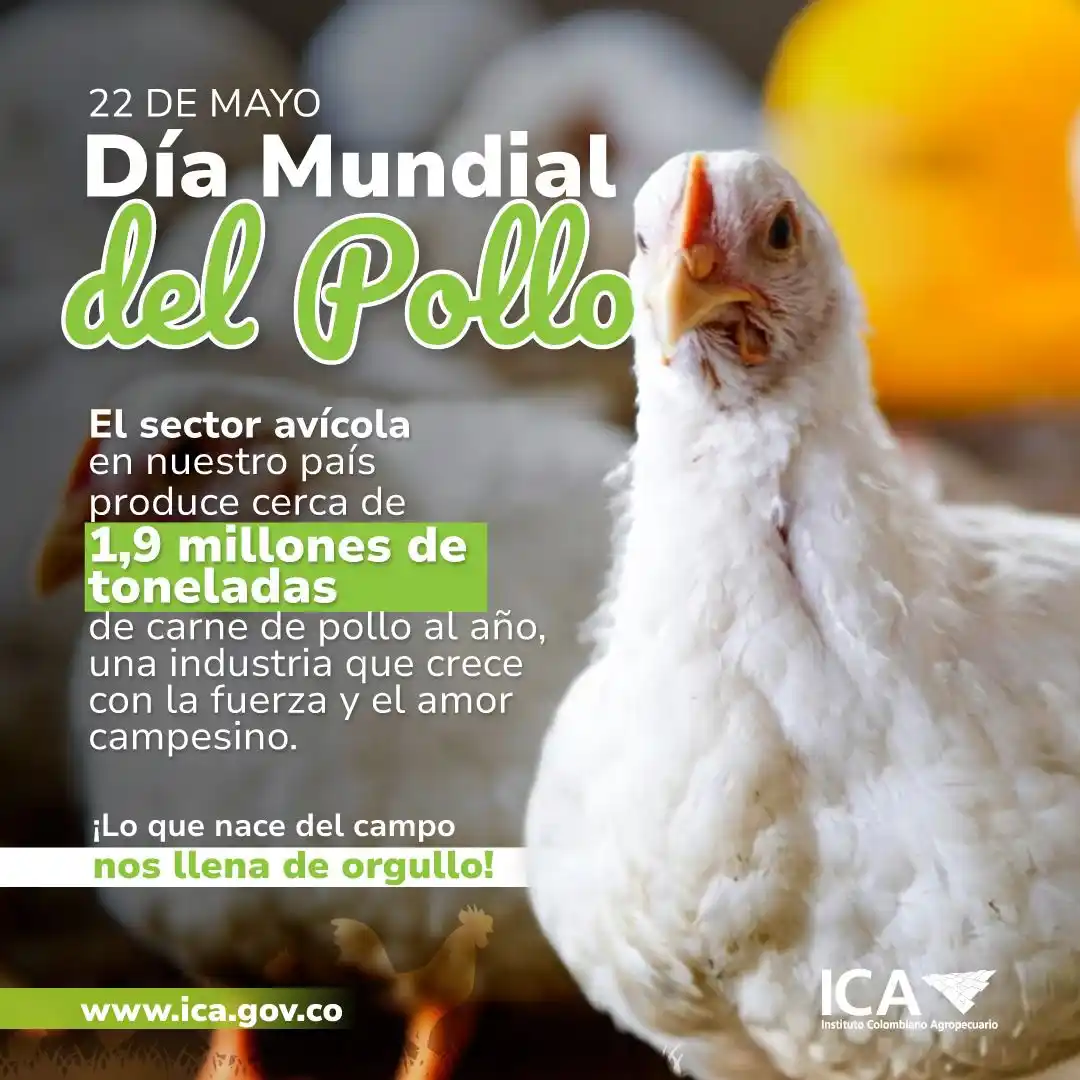 Image from ICA Noticias: No podemos conmemorar esta fecha sin agradecer a FENAVI y a todos los ...