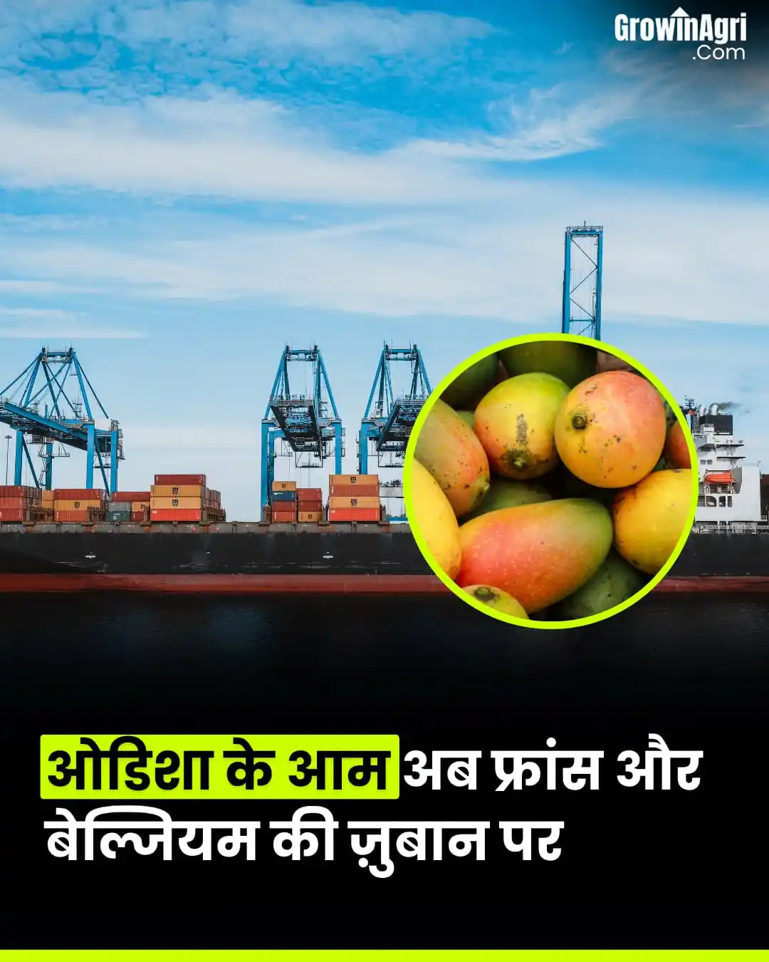 Image from GrowinAgri Hindi: ओडिशा के आम अब फ्रांस और बेल्जियम की ज़ुबान पर 🇮🇳🥭 ओडिशा ने फ्रांस...