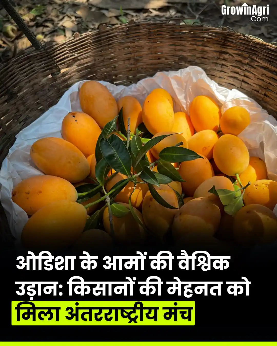 GrowinAgri Hindi post