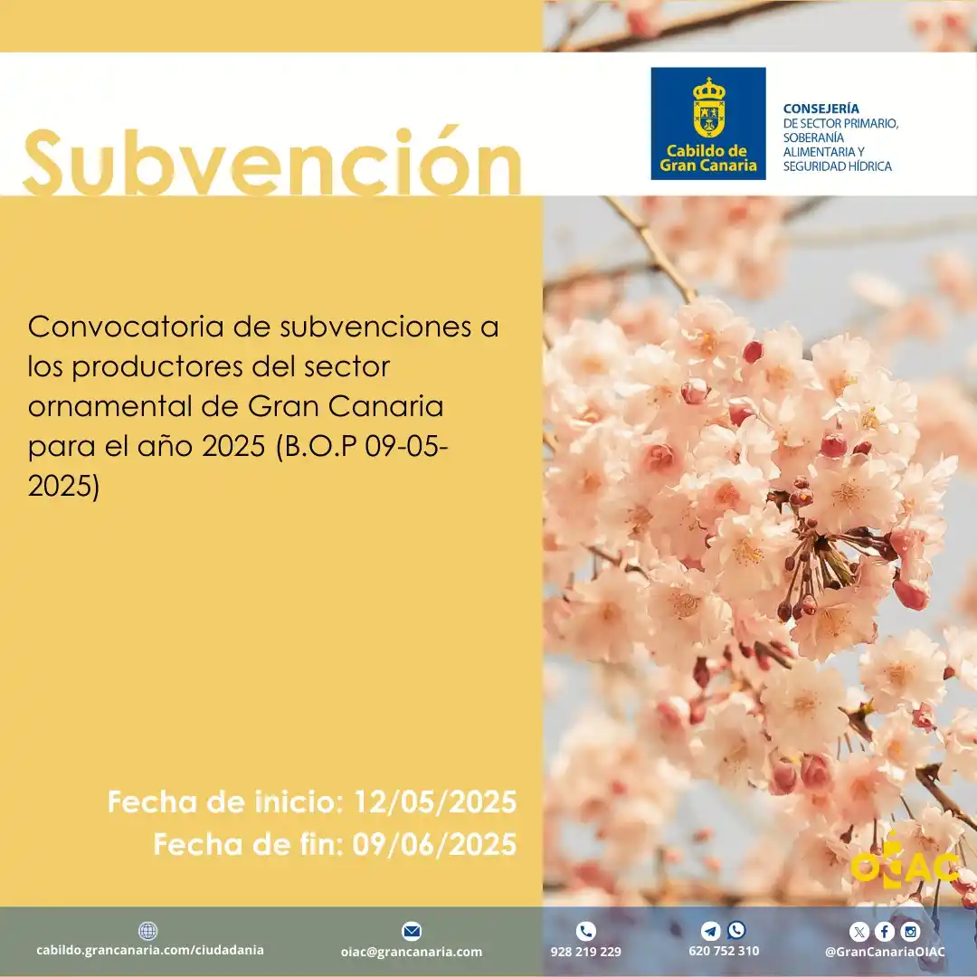 Image from OIAC Información: 👉 Recordar que está abierta la Convocatoria de <a class="text-blue-50...