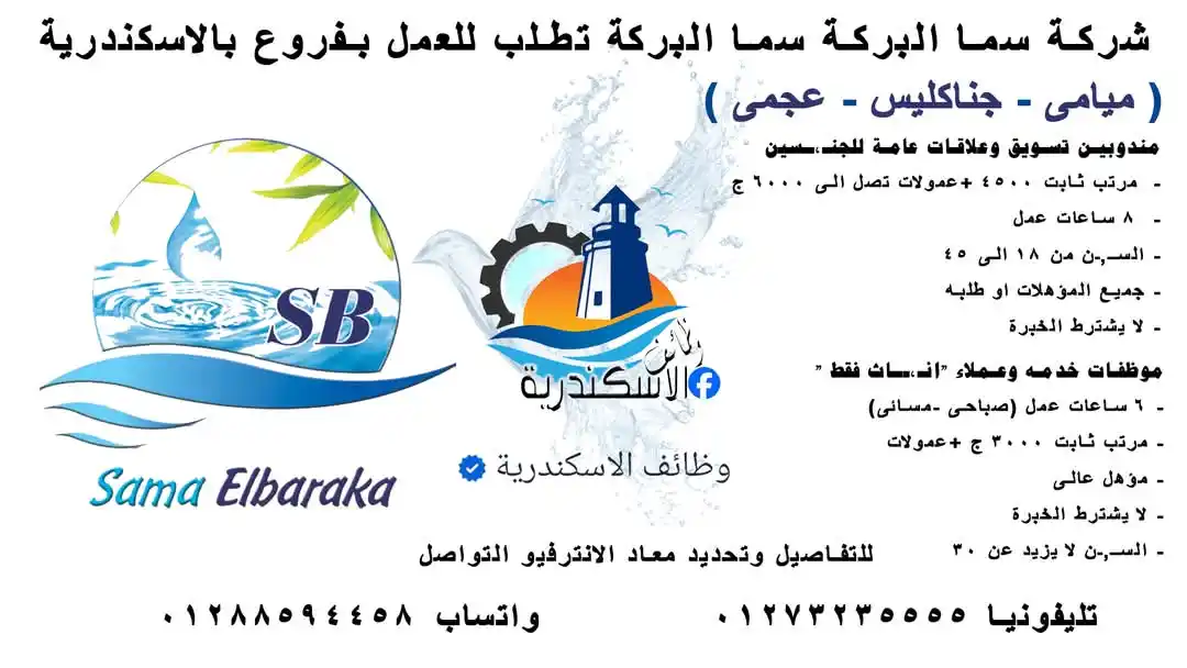 Image from وظائف الاسكندرية: شركة سما البركة تطلب لفروعها بالاسكندرية (ميامى - جناكليس - عجمى ) الو...