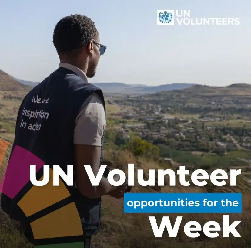 Image from Africa Jobs Gate: Top 6 UN Volunteer Opportunities in Africa ! Follow the Africa Jobs...