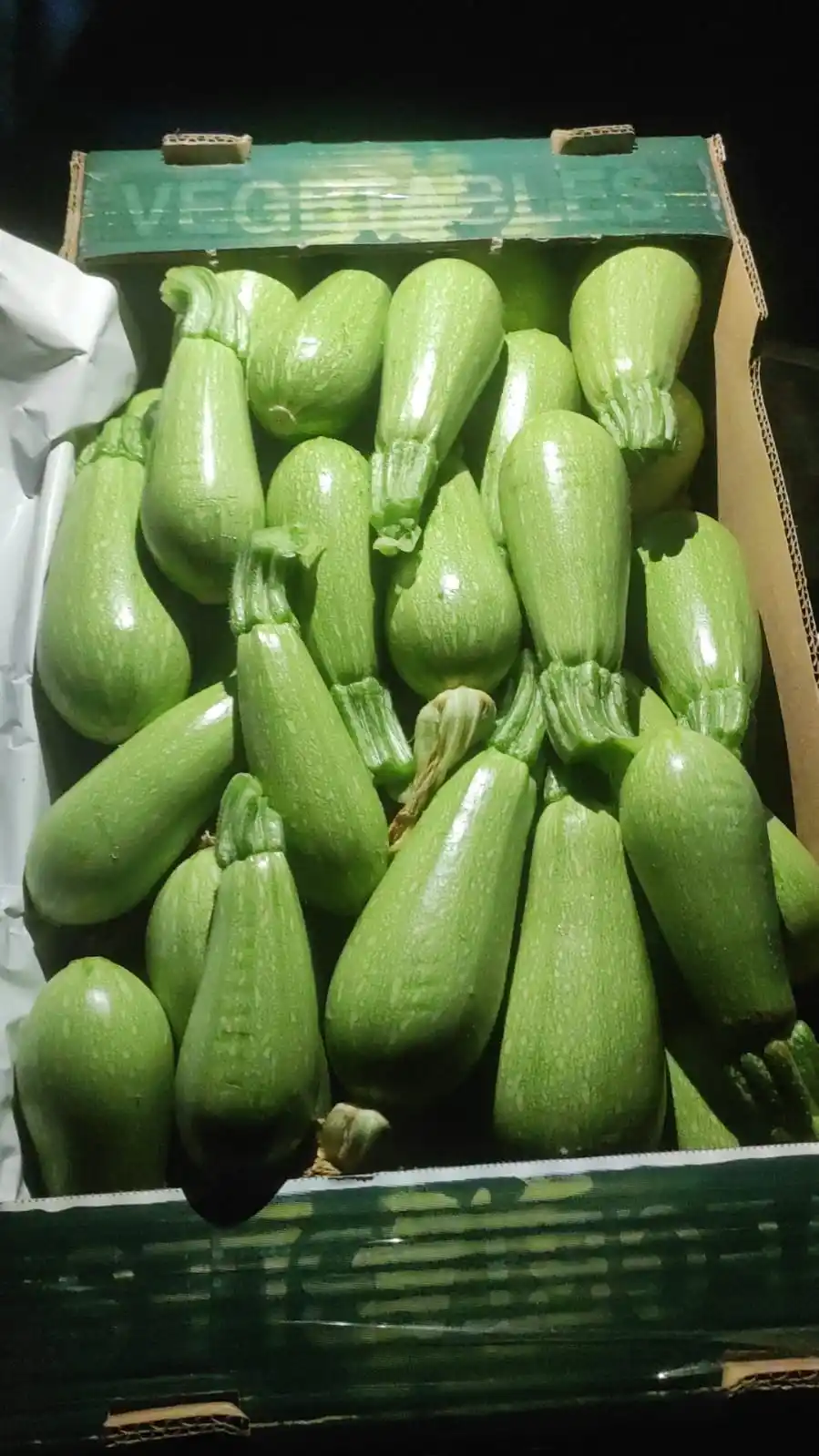 Image from مدينة دورا وقراها " *اضغط للانضمام* ": *اعلان* كرتونة الكوسا اليوم فقط 15 شيكل بدل 20 للتواصل مع الرقم التال...