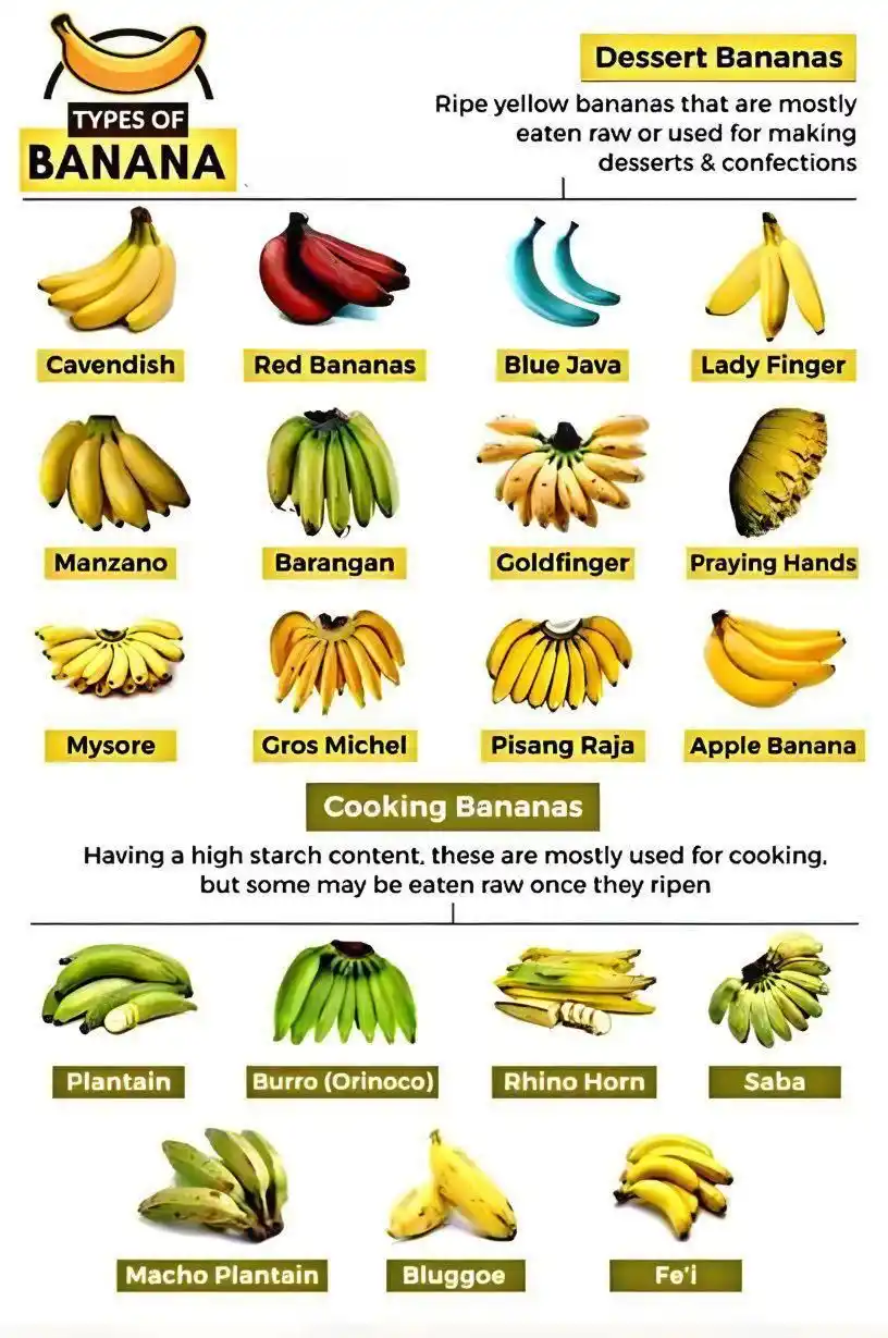 Image from ಆರೋಗ್ಯವೇ ಭಾಗ್ಯ ಮತ್ತು ಅತ್ಯಂತ ಪ್ರಮುಖ ಮಾಹಿತಿ: Banana types 👉Ripe ones are eaten raw and not cooked for ulcers 👉G...