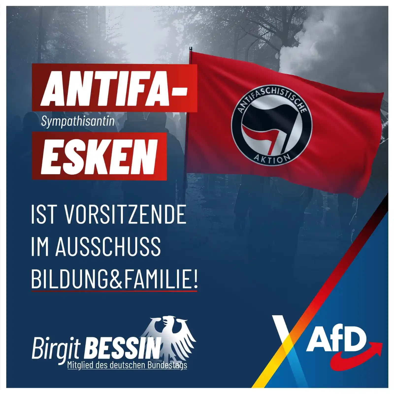 Image from Birgit BESSIN - AfD: ❗️Kann Antifa-Sympathisantin Esken den Familienausschuss neutral leite...