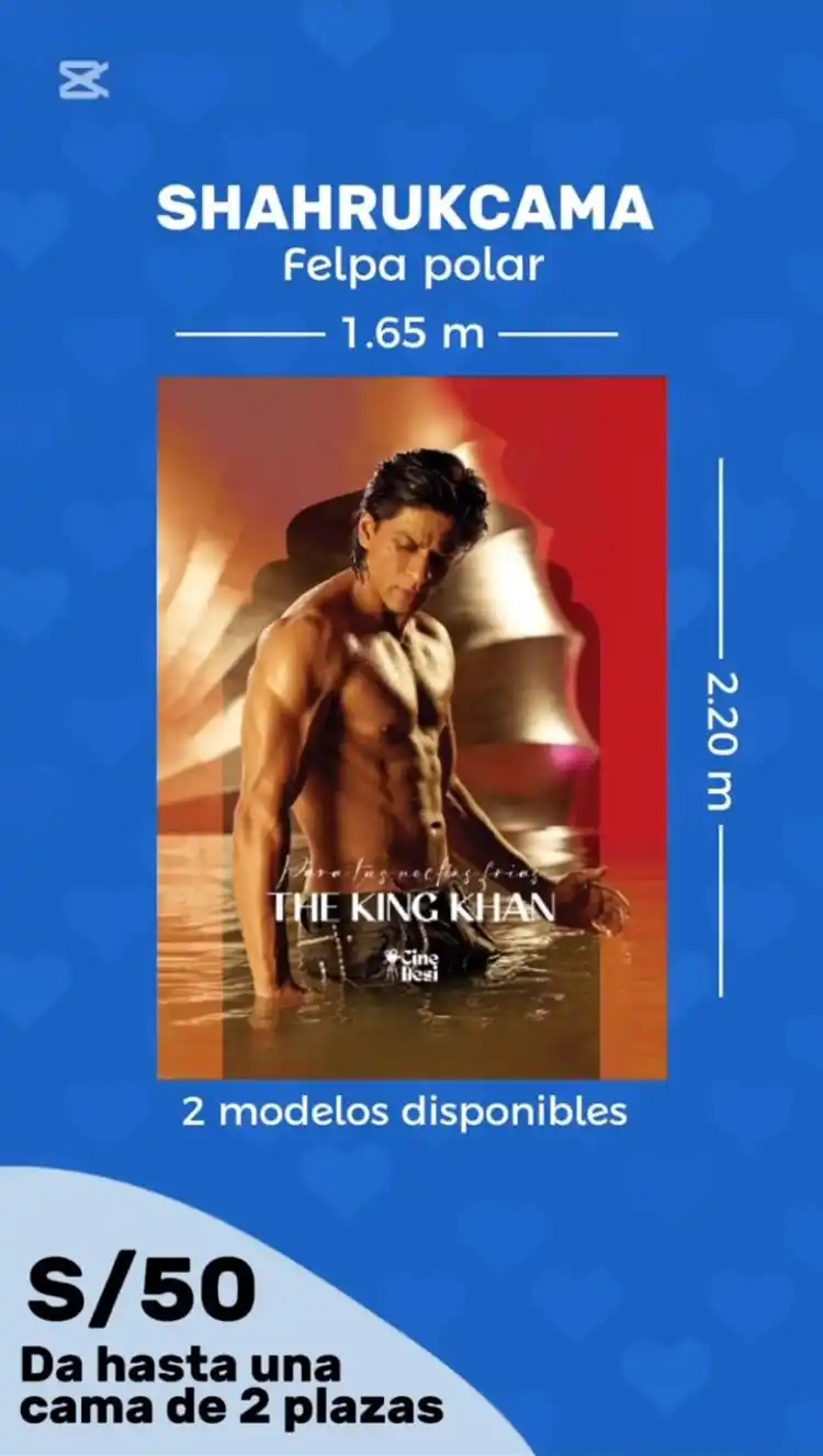 CANAL INDIA ROMÁNTICA: MegaIndiaParty 2025 🥳 post