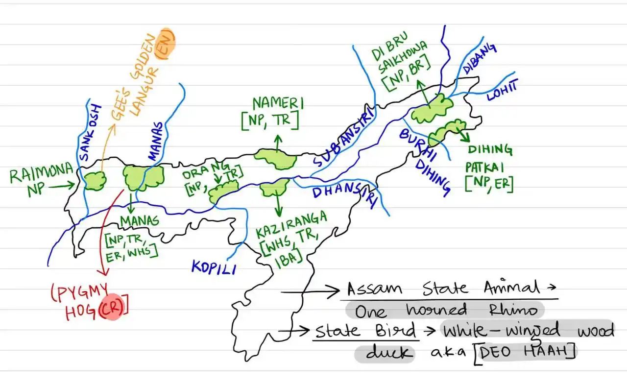 Image from UPSC CSE EXAM ✅ PRELIMS™ UPSC UPSC UPSC UPSC UPSC UPSC Current Affairs BPSC MPPSC UPPSC CAPF RAS IAS: 🔆 National Parks in Assam  📍 List of National Parks (West to East)  ...
