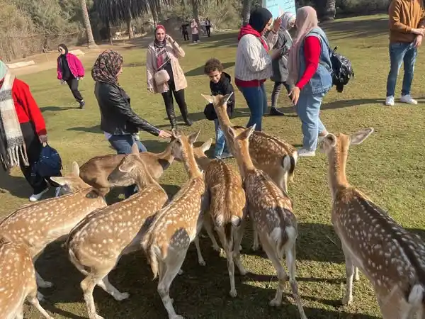 Image from الرهف للسياحة: 🐆افريكانو بارك والاسكندريه🐅 دخول اول حديقه حيوان مفتوحه 🦅🦋دخول بي...