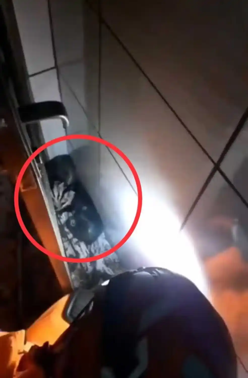 Image from g1 Centro-Oeste: 🦨 Família de gambás cai de teto de casa e assusta morador em Itaúna >...