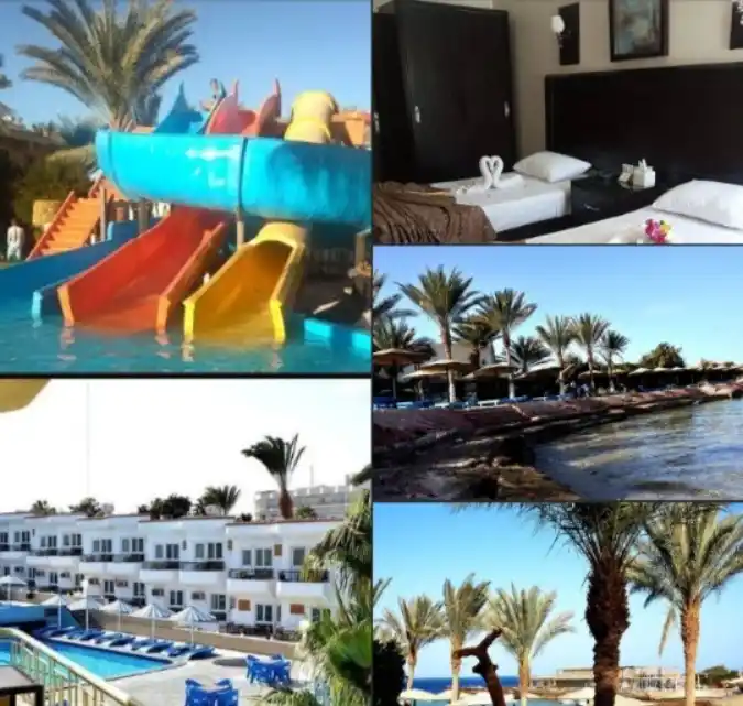 Image from الرهف للسياحة: رحلات <a class="text-blue-500 hover:underline cursor-pointer" href="/h...
