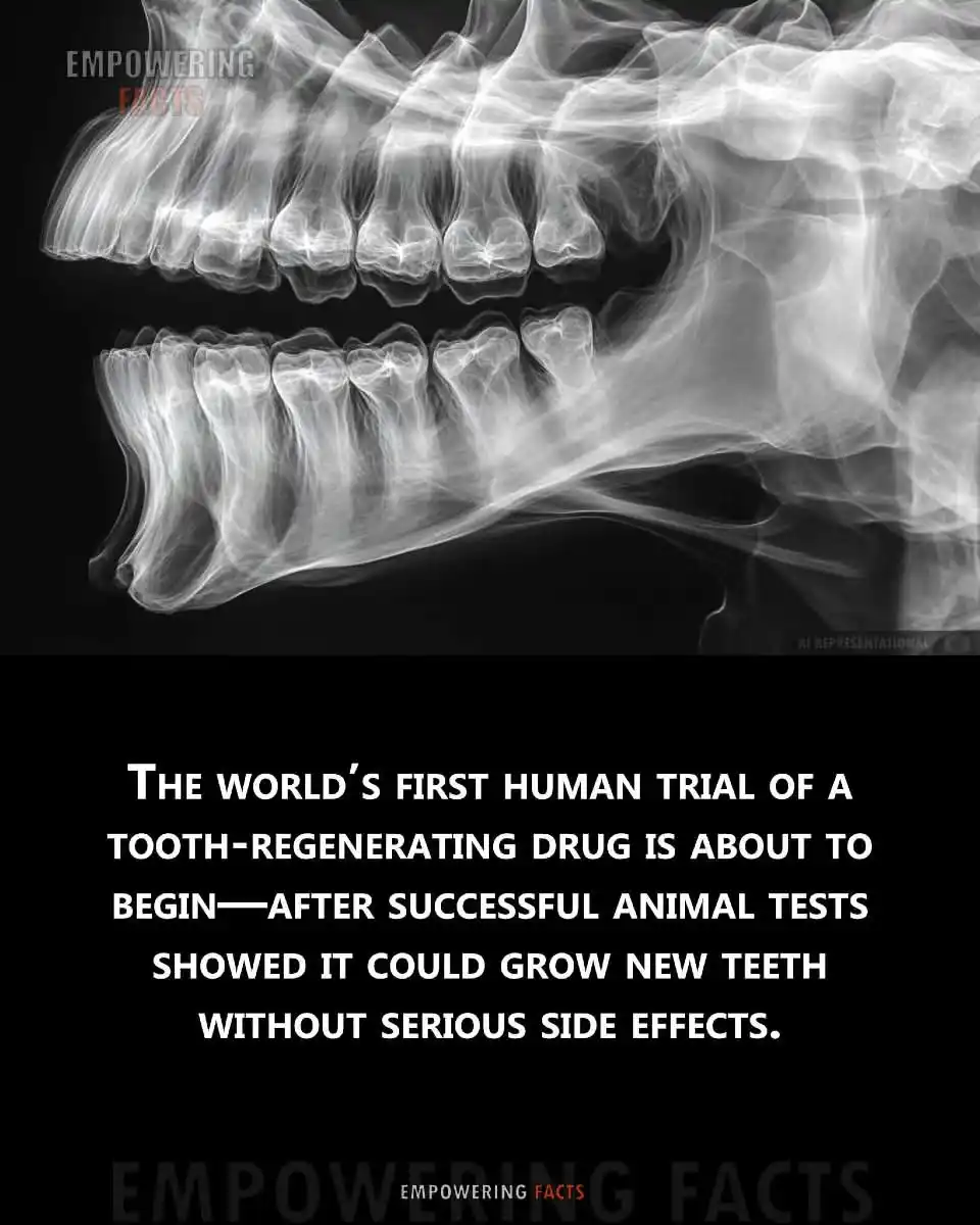 Image from The Billionaire's Club🏌️Recent updates💹📉: Developed by Japanese researchers, this groundbreaking drug targets a ...