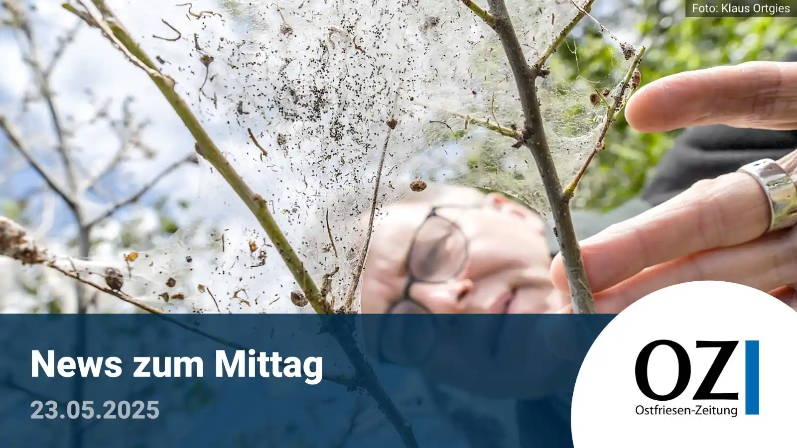 Image from Ostfriesen-Zeitung: Grüßt euch zur Mittagszeit! 🫶  Aktuell kein Regen in Sicht, die Theme...