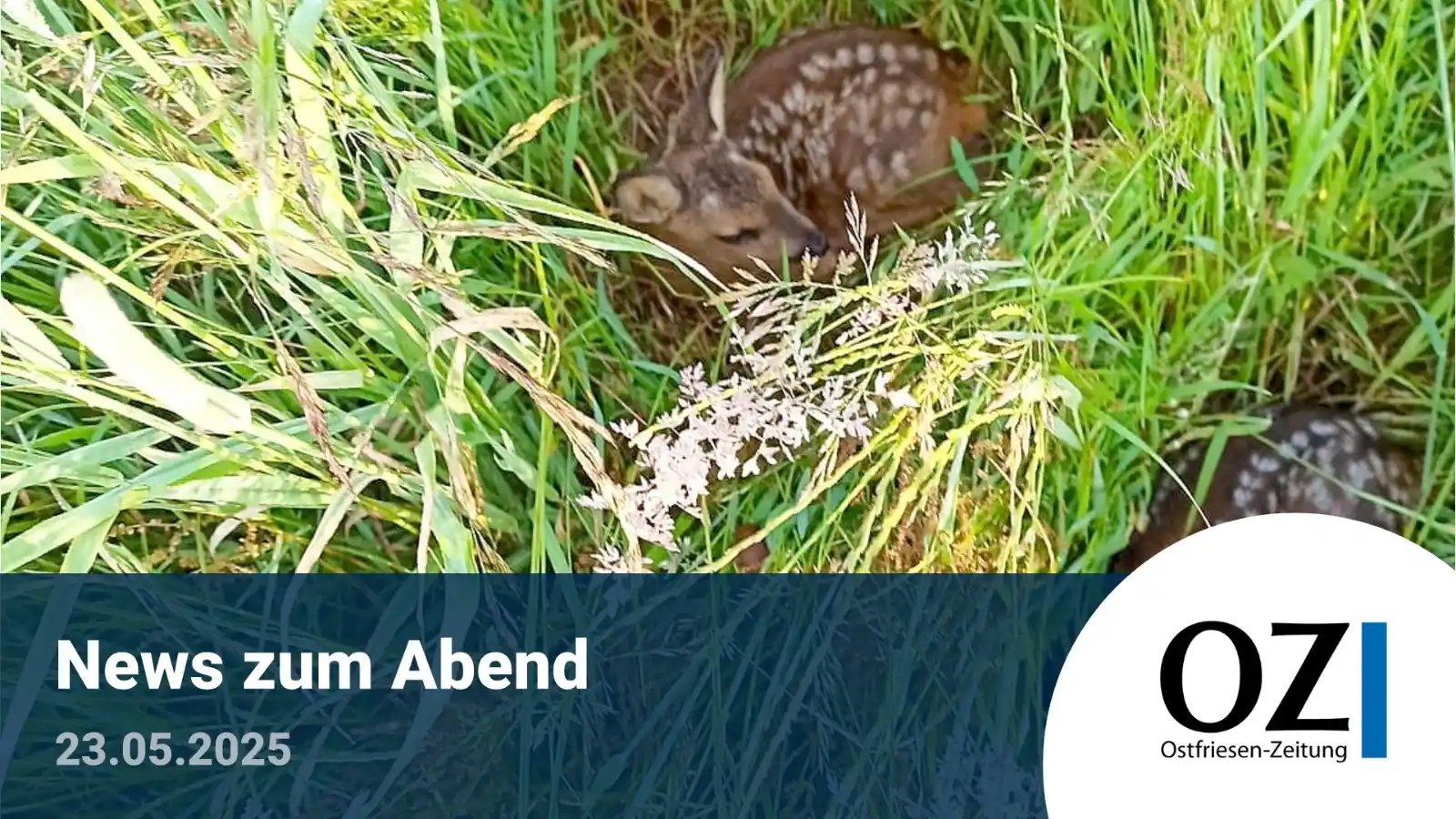 Image from Ostfriesen-Zeitung: Moin in die Runde! ☺️ Der Feierabend naht - und damit auch das Wochen...