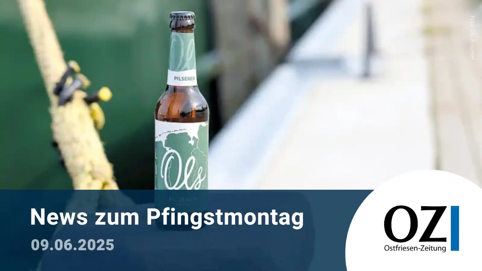 Image from Ostfriesen-Zeitung: Schönen Pfingstmontag! 🦥 Das Wetter könnte besser sein, aber keine ...