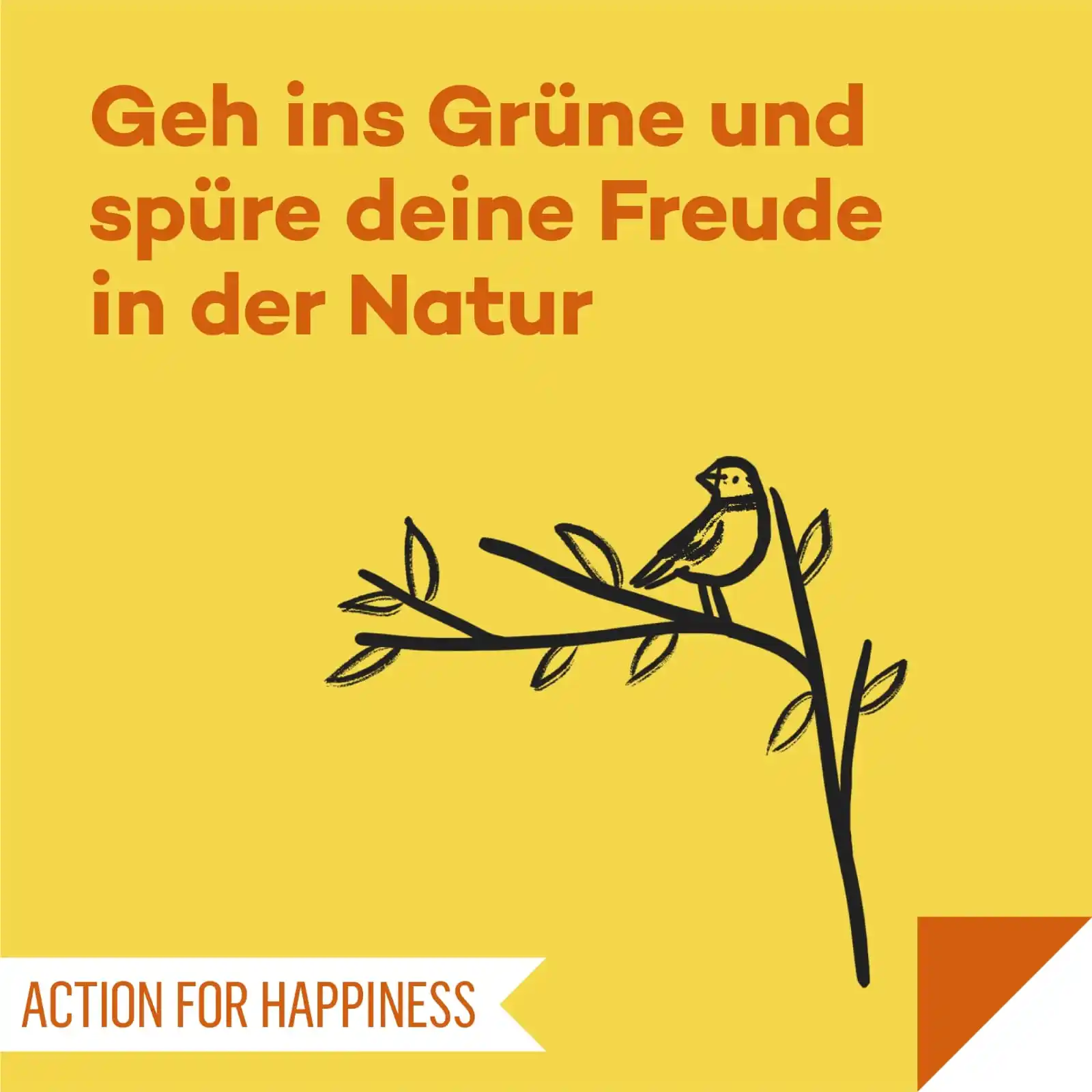 Image from Action for Happiness DE: 🙂 FREUDIGER JUNI, Tag 6 🌞 Geh ins Grüne und spüre deine Freude in de...