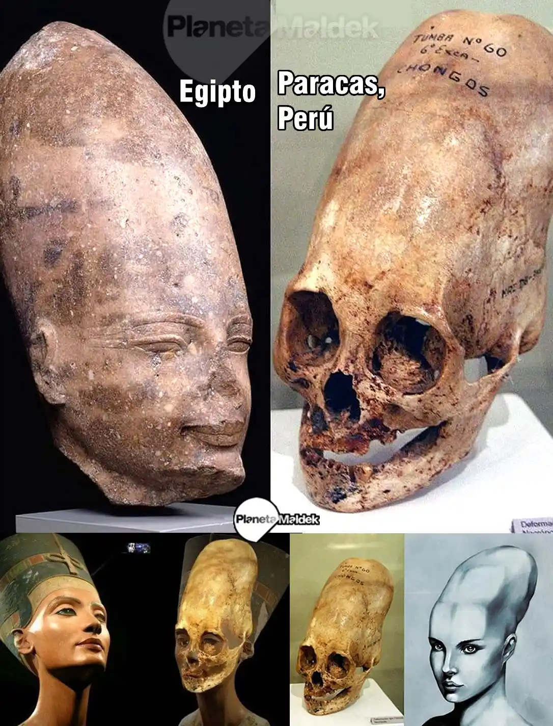 Image from Planeta Maldek: Evidencias de cráneos alargados hallados en el antiguo Egipto y en la ...