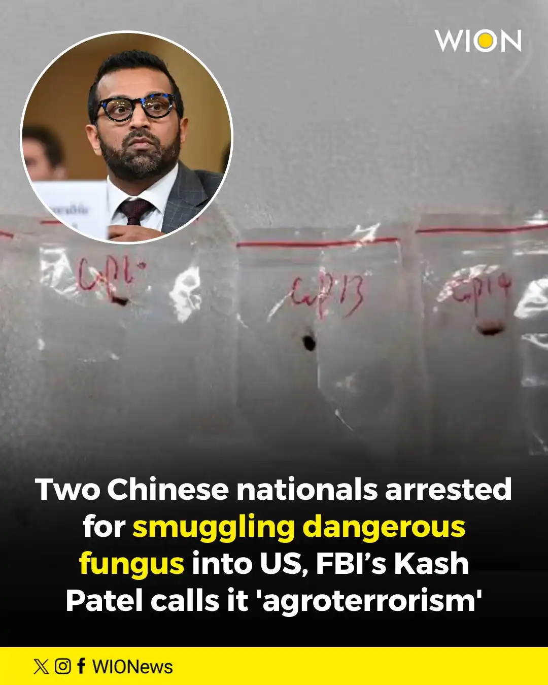 Image from WION: FBI arrests two Chinese nationals for allegedly smuggling the dangerou...