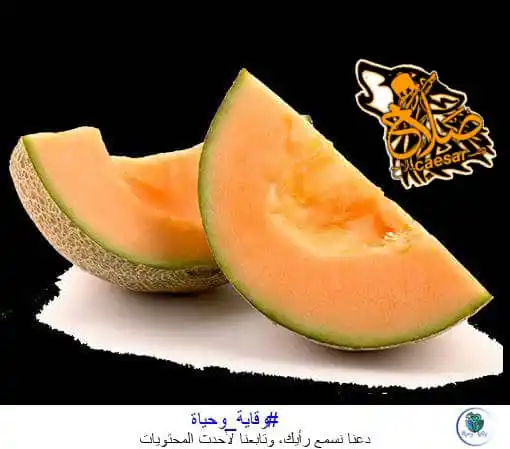 Image from الصحة _والحياة _شبكة _خير _أمة: <a class="text-blue-500 hover:underline cursor-pointer" href="/hashtag...
