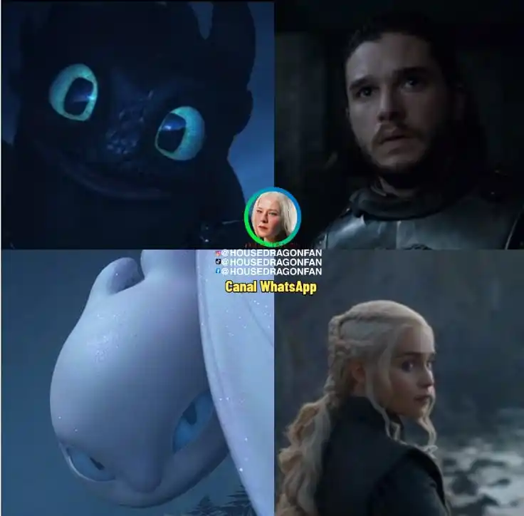 Image from HOUSE DRAGÓN FANÁTICOS 🛡️: *¿Cual eres?🐲* Team Chimuelo (🖤) Team Furia Diurna (🤍)...