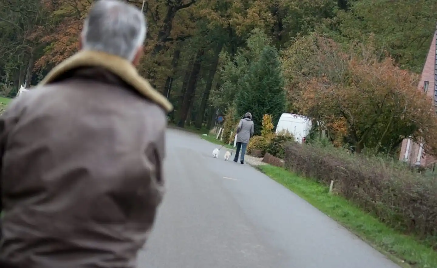 Image from Hulz Media: Ingezonden: Mijn vrouw liep vanmorgen met de hond rond 06:00 op het h...