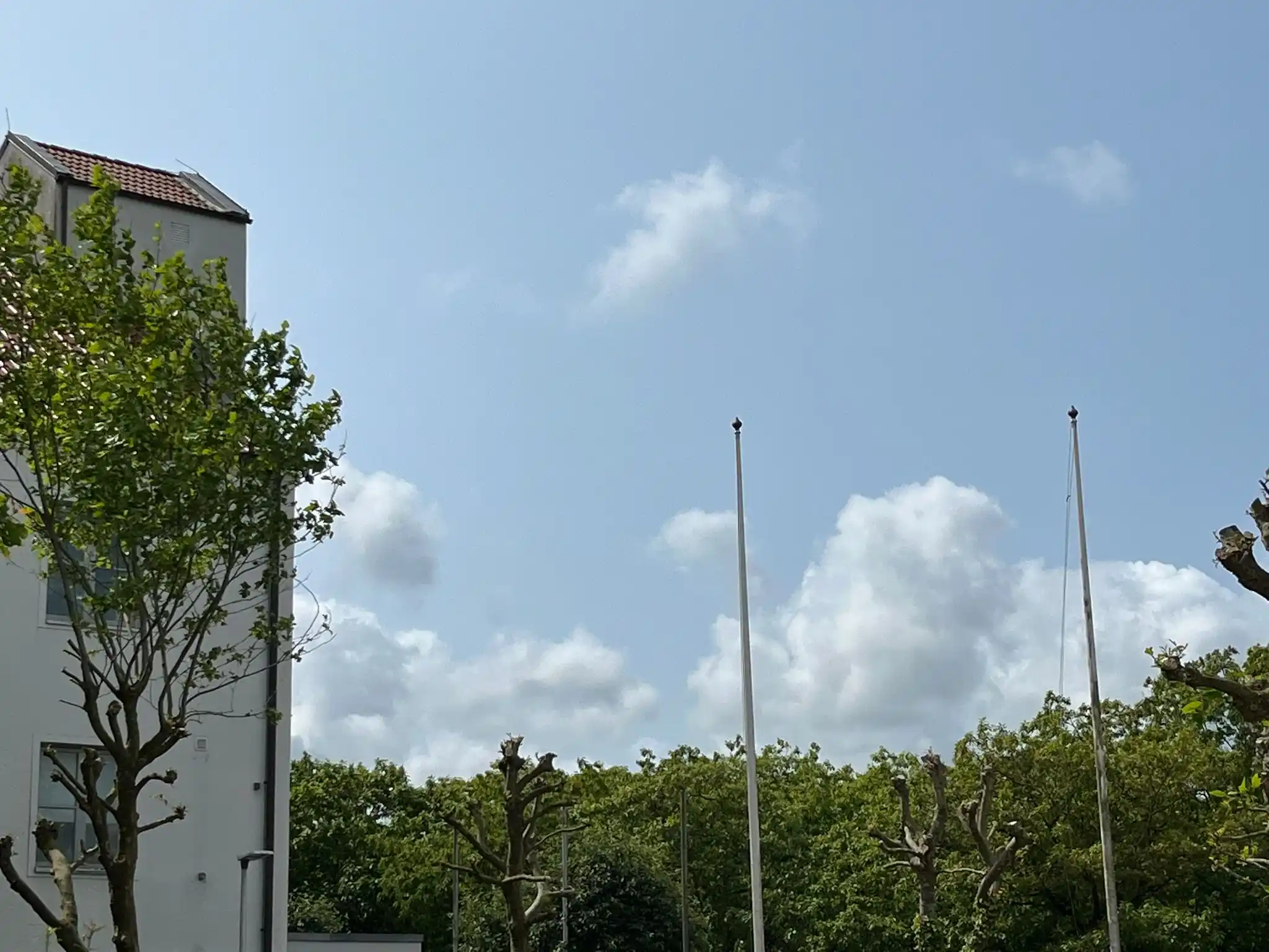 😊 🐕🦮 W.I.P. 🐎🦄 🙂  post