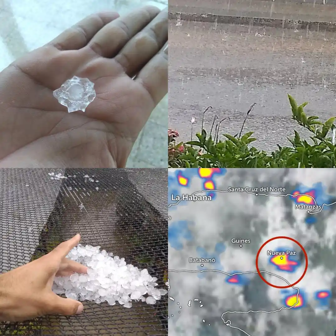 Image from Vigilancia Tropical ✅: 📁REPORTE: ⛈️En la tarde de este miércoles se registró una Tormenta Lo...