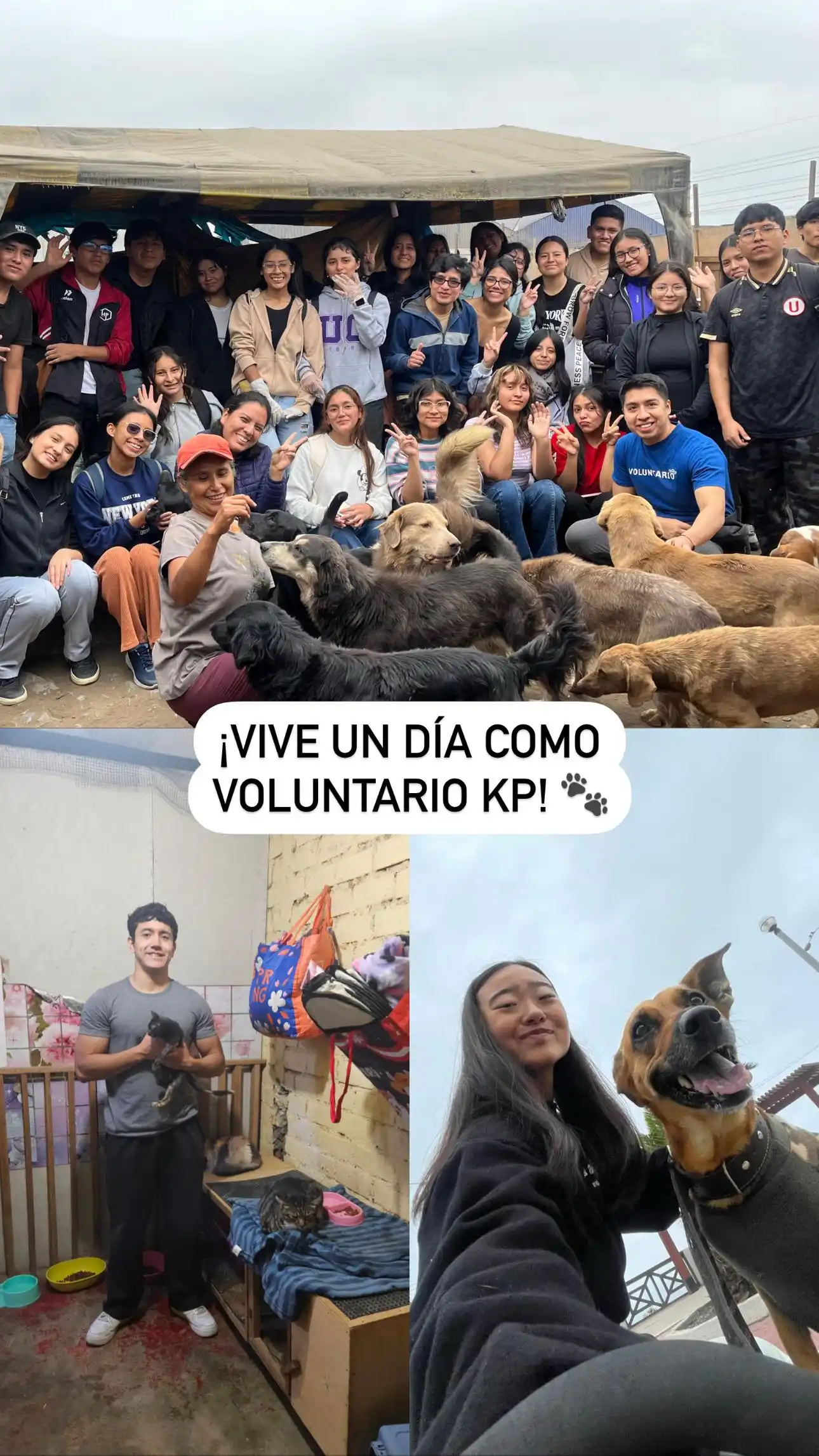 Image from Asociación KP 🐶🐈: *¿Listos para ayudar? Ingresa a* http://asociacionkp.org/eventos/. *¡T...