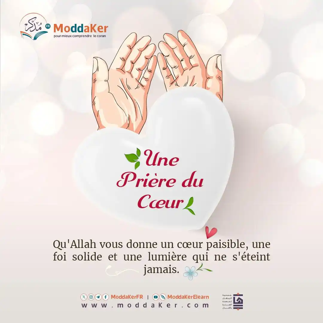 Image from Programme "Moddaker" français: <a class="text-blue-500 hover:underline cursor-pointer" href="/hashtag...