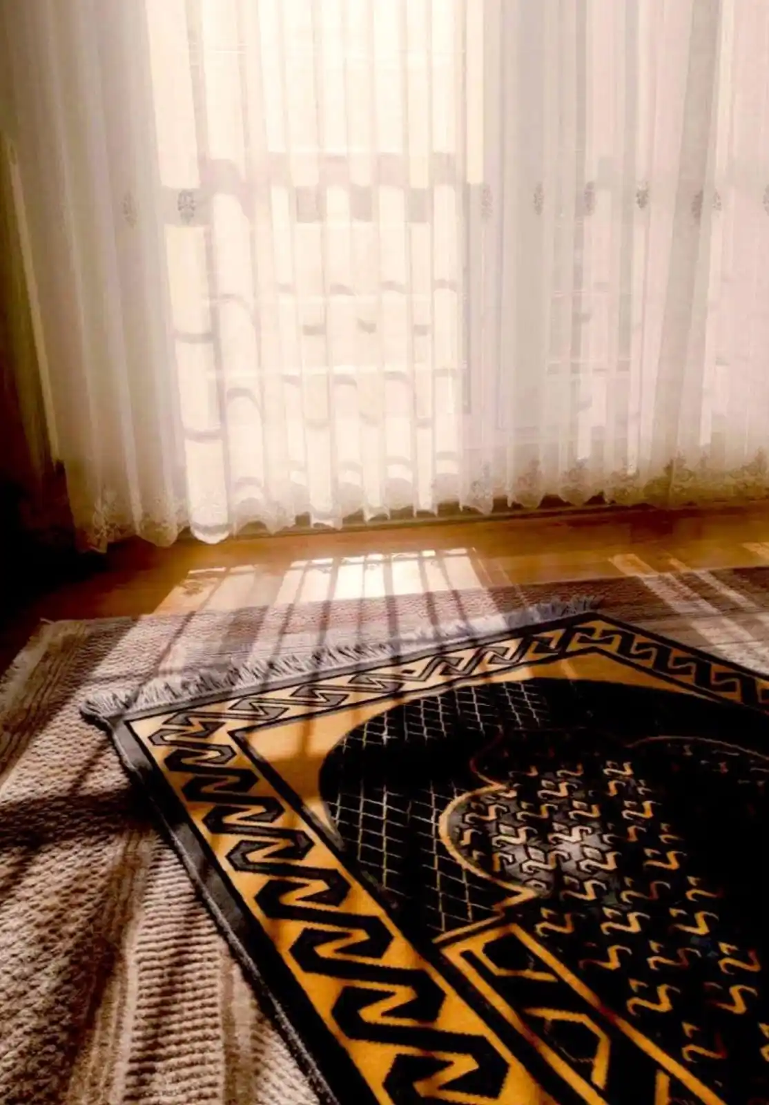 Image from ♥️ قنــــاة نــدويــات ♥️: ⿻┊🪴 أفضل وقت لصلاة الضحى🌤️ وقت اشتداد الشمس🔥 ضحاكم حفظكم الله ور...