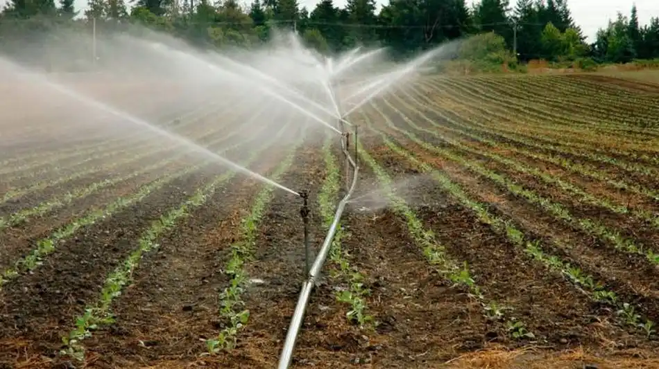 Image from Cuenta oficial de Écija 7 Días (ecija7dias.eu), diario ecijano con la actualidad de Écija y comarca: Presentada una solución tecnológica en la nube que mejora la gestión d...