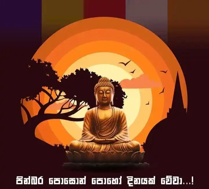 Image from 𝐒𝐊𝐏 𝐄𝐃𝐔𝐂𝐀𝐓𝐈𝐎𝐍- ➣𝙎𝙃𝙊𝙍𝙏 𝙉𝙊𝙏𝙀𝙎 𝘾𝙃𝘼𝙉𝙉𝙀𝙇🧠💥••: මෝහාන්ධකාරය දුරුවී, ධර්මාලෝකයෙන් සිත්සතන් ආලෝකමත්වන, පින්බර පොසොන් පොහ...