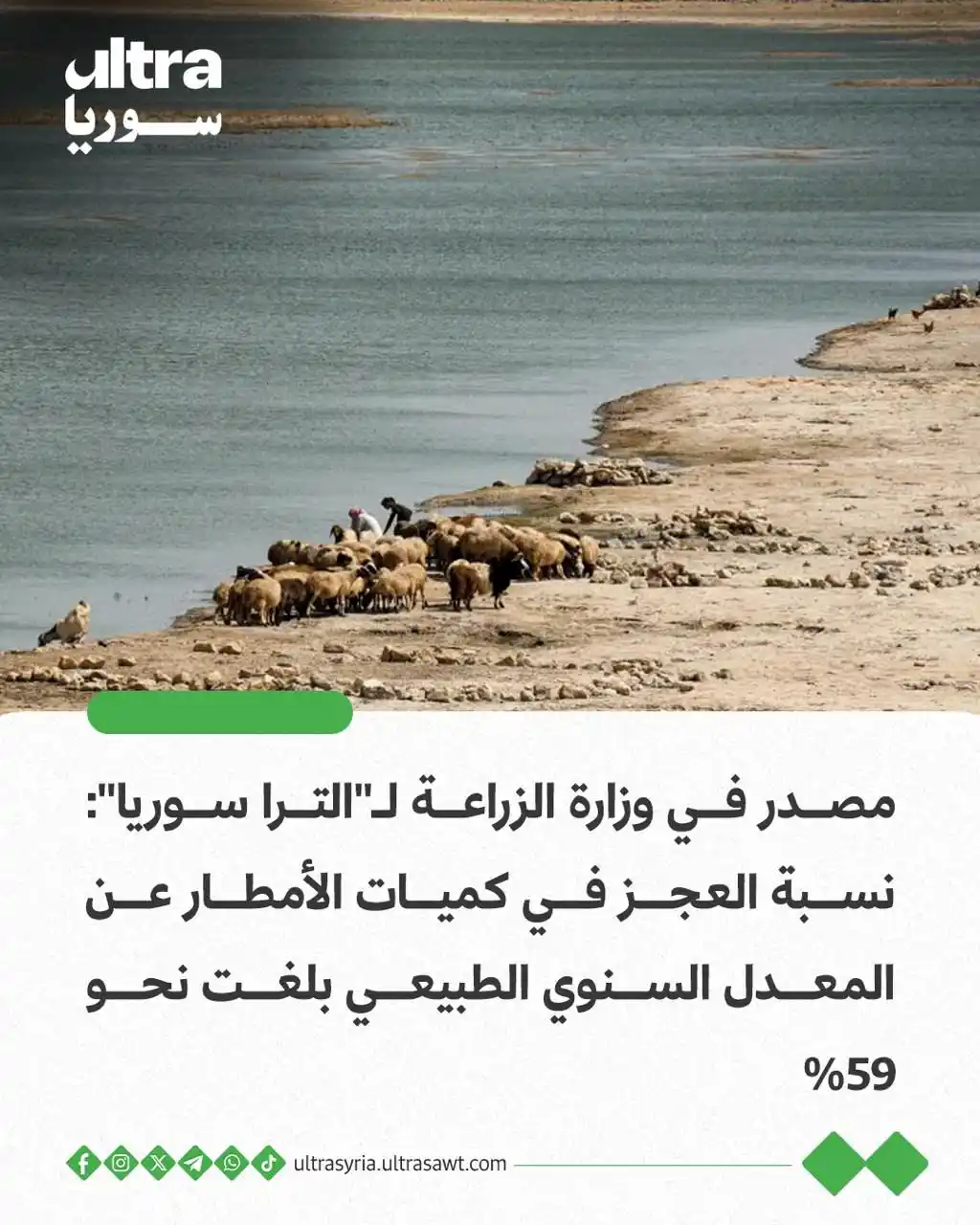 Image from الترا سوريا | Ultra syria: 🔴 مصدر في وزارة الزراعة لـ"الترا سوريا": 📌 نسبة العجز في كميات الأم...