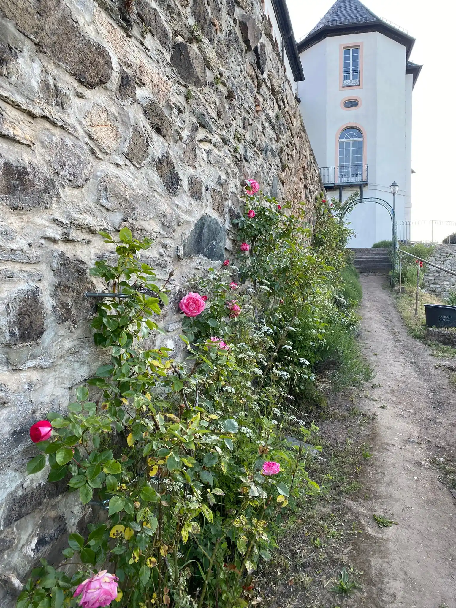 Stadt Wildenfels 1233 post
