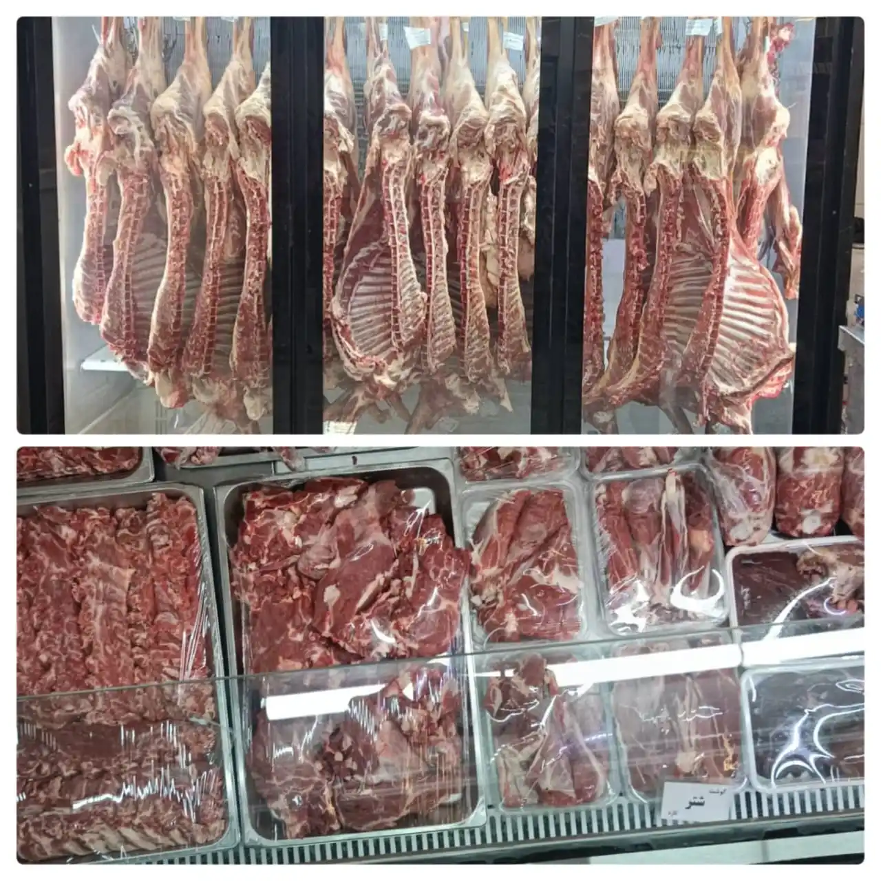 Image from اخبار شیراز و فارس📰: *مژده به همشهریان عزیز شیرازی* *تخفیف ویژه فروش مرغ و گوشت فقط به مدت...