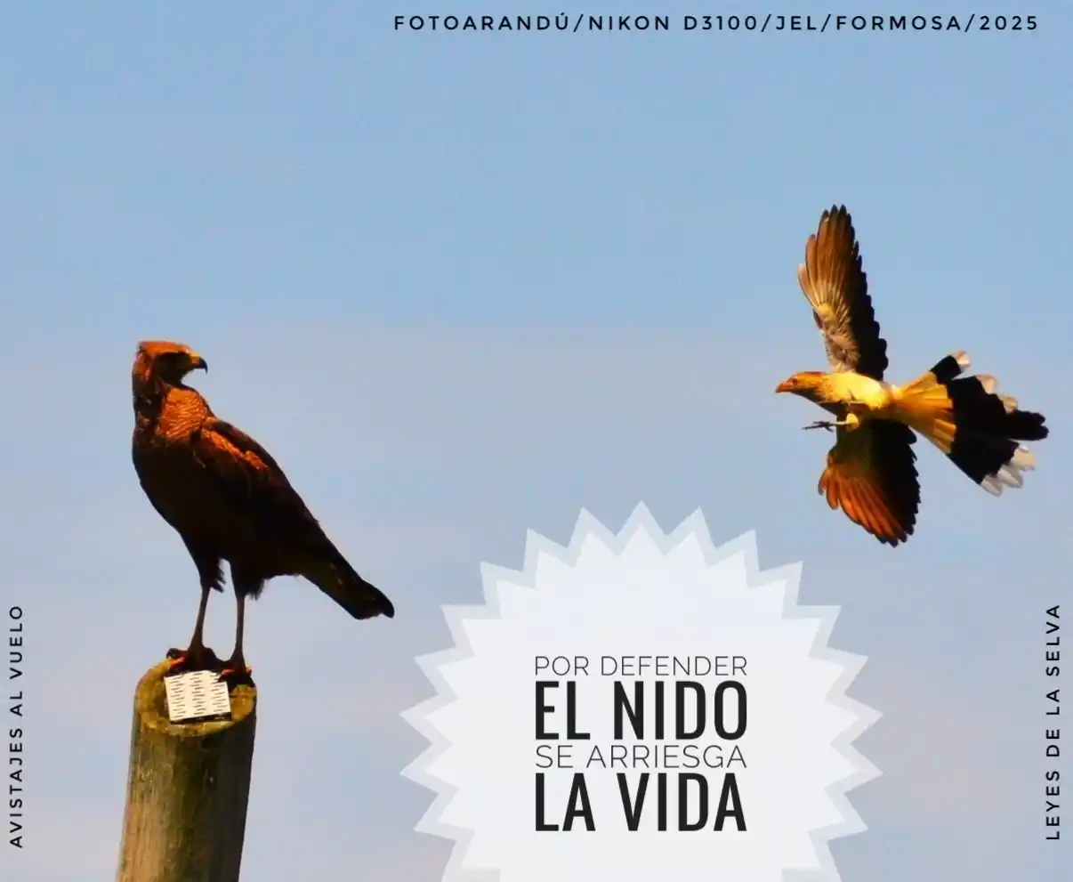 Image from RELATOS☕🧉RESEÑAS: [ `FOTOARANDÚ + EFEMERIDES ELEMENTALES`]✍🏼🧉  [ `9 DE JUNIO`] _"*Muy ...