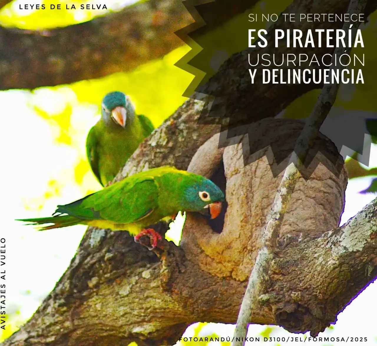 Image from RELATOS☕🧉RESEÑAS: [ `FOTOARANDÚ + EFEMERIDES SOBERANAS`]✍🏼🧉  [ `10 DE JUNIO`] _*"Muy b...