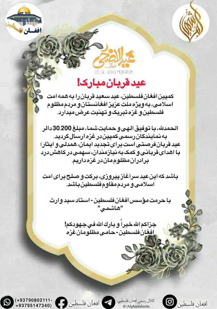 افغان فلسطین post