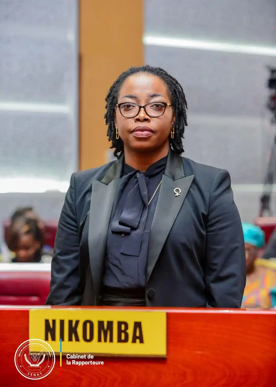 Image from SENAT RDC: *Session Parlementaire — Mars 2025* La Commission Infrastructures et ...